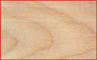 recycled Birch Flooring