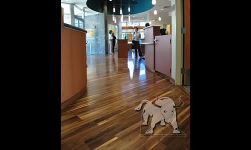Eco-friendly walnut floor