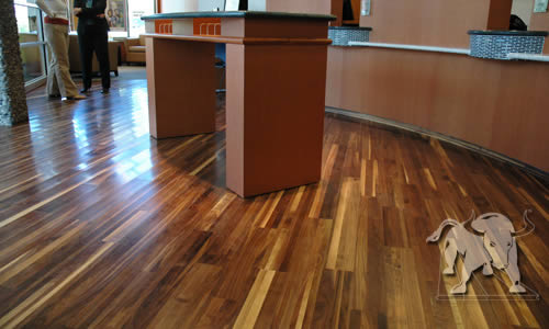 Walnut eco-flooring