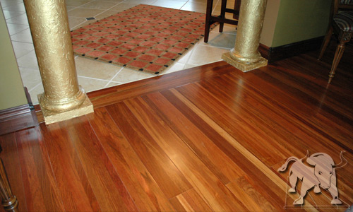 A green floor made of Jatoba