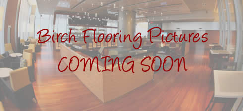 Birch Eco-Flooring