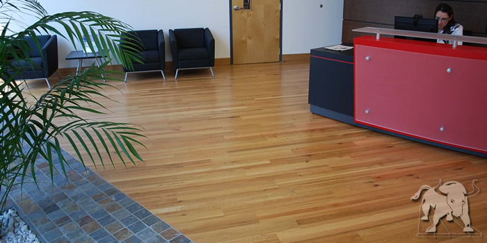 Eco-friendly oak flooring