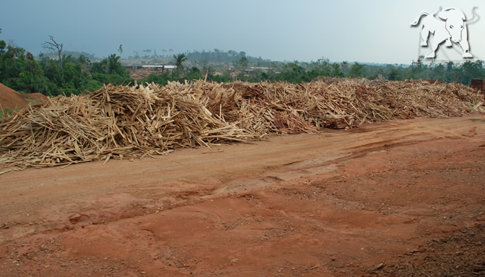 Eco flooring