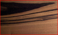recycled Tigerwood Flooring