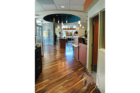 black walnut staybull™ flooring